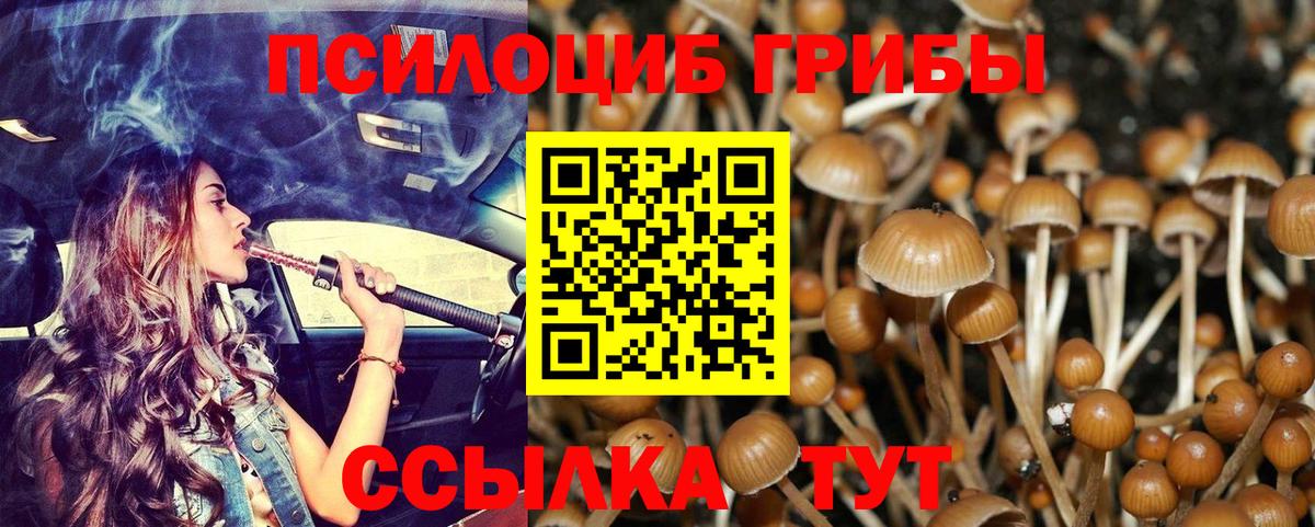 Галлюциногенные грибы ЛСД Бутурлиновка