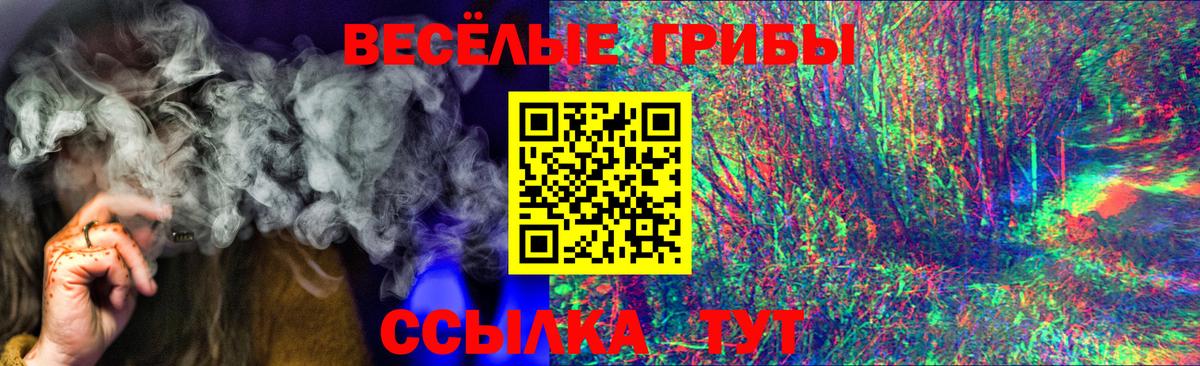Бутурлиновка  Галлюциногенные грибы Psilocybe  Вход с VPN 